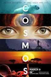 Download Cosmos A Spacetime Odyssey (Mini-Series) Hindi Dubbed English Dual Audio 480p [150MB] 720p [400MB] moviesnation.in