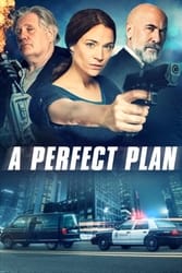 Download A Perfect Plan (2020) English with subtitles 480p 720p 1080p Moviesnation.co.in