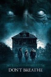 Download Don't Breathe (2016) {Hindi-English} Dual Audio 480p [300MB] 720p [850MB] 1080p [2GB] moviesnation