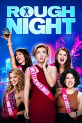 Download Rough Night (2017) {Hindi-English} Dual Audio 480p [300MB] 720p [850MB] 1080p [1.8GB] Moviesnation