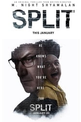 Download Split (2016) Hindi dubbed English Dual Audio 480p [400MB] 720p [1GB] 1080p [2.4GB] moviesntion