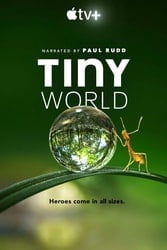 Download Tiny World (Season 1) English with Subtitles 480p 720p [350MB] moviesnation