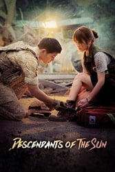 Download Descendants of the Sun Hindi Dubbed {All Episodes} 480p [100MB] 720p [300MB] moviesnation.in