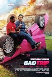 Download Bad Trip (2021) Hindi Dubbed English Dual Audio 480p [350MB] 720p [950MB] 1080p [3.8GB] moviesnation.in