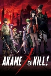 Download Akame ga Kill! (Season 1) {English with Subtitles} Dual Audio 480p [80MB] 720p [150MB] moviesnation.in