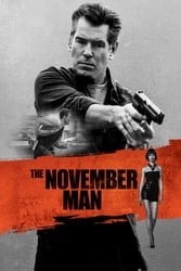 Download The November Man (2014) Hindi Dubbed English Dual Audio 480p [350MB] 720p [1.1GB] 1080p moviesnation.in