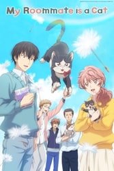 Download My Roommate Is a Cat (Season 1) {English with Subtitles} Dual Audio All Episode 480p [80MB] 720p moviesnation.org