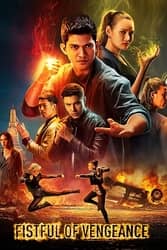 Download Wu Assassins Fistful of Vengeance (2022) Hindi Dubbed English Dual Audio 480p 720p 1080p moviesnation.me