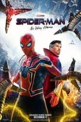 Download Spider-Man No Way Home (2022) English with subtitles 480p 720p 1080p moviesnation.cc