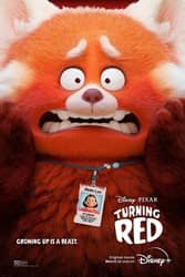 Download Turning Red (2022) Hindi Dubbed English Dual Audio 480p 720p 1080p moviesnation.cc