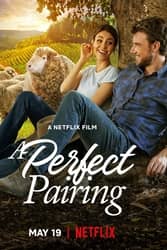 Download A Perfect Pairing (2022) Hindi Dubbed English Dual Audio 480p 720p 1080p moviesnation.pro