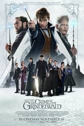 Download Fantastic Beasts 2 The Crimes of Grindelwald (2018) Hindi Dubbed English Dual Audio 480p 720p 1080p moviesnation.pro