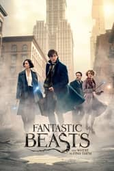 Download Fantastic Beasts and Where to Find Them (2016) Hindi Dubbed English Dual Audio 480p 720p 1080p moviesnation.pro