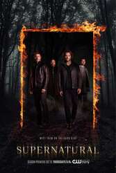 Download Supernatural (Season 1-15) English with Subtitles {All Episode} 480p 720p 1080p moviesnation