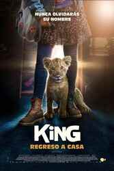 Download King (2022) Hindi Dubbed English Dual Audio 480p 720p 1080p on Moviesnation