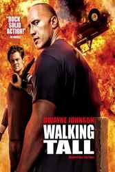 Download Walking Tall (2004) Hindi Dubbed English Dual Audio 480p 720p 1080p moviesnation.tv