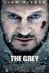 Download The Grey (2011) Hindi English Dual Audio Bluray 480p 720p 1080p moviesnation