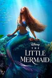 Download The Little Mermaid (2023) Hindi Dubbed English Dual Audio 480p 720p HEVC 1080p Moviesnation