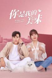 Download Healing Food, Healing Love (Season 1) Hindi Dubbed Chinese Dual Audio All Episodes 480p 720p 1080p Moviesnation