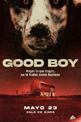 Download Good Boy (2022) Hindi English Dual Audio 480p 720p 1080p 4k 10bit HDR Moviesnation