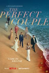 Download The Perfect Couple (Season 1) Hindi Dubbed English Dual Audio All Episodes 480p 720p 1080p Moviesnation