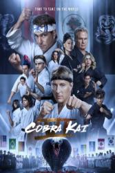 Download Cobra Kai Season 6 Hindi Dubbed 480p 720p 1080p ~ moviesnation.baby