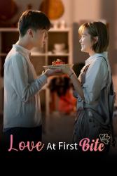 Download Love at First Bite (Season 1) Hindi-English Dual Audio 480p, 720p, 1080p ~ MoviesNation.baby