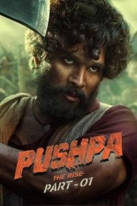 Pushpa The Rise Part 1 (2021) Bollywood Movie Hindi Audio 480p, 720p, & 1080p ~ MoviesNation.zip