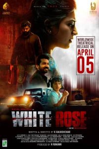 White Rose (2024) Bollywood Movie Hindi Audio 480p, 720p, & 1080p ~ MoviesNation.zip